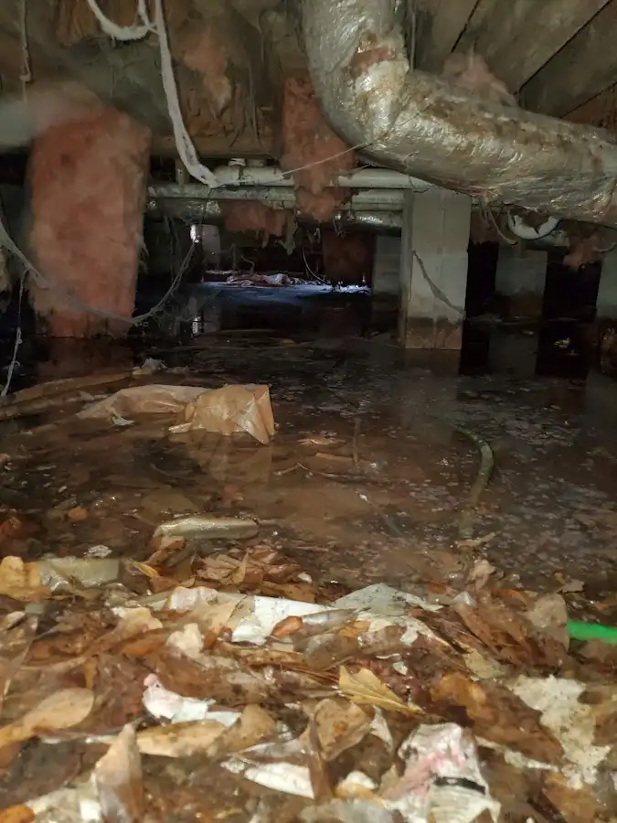 Crawl space flood assessment for Leak Detection & Repair in Fort Bliss